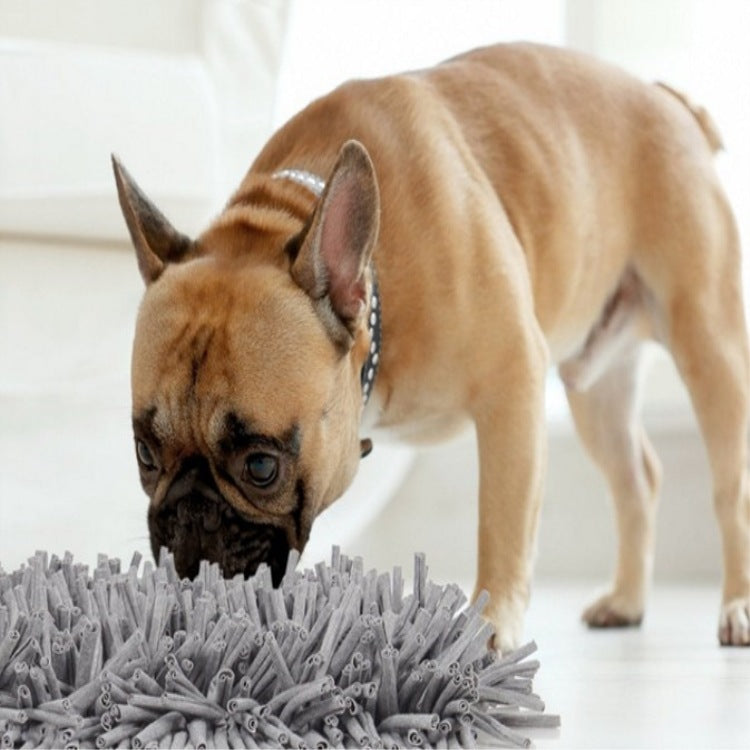 Pets. Sniffing pads. Exhausting energy