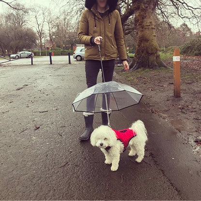 Transparent Pet Umbrella Dog Umbrella Pet Products